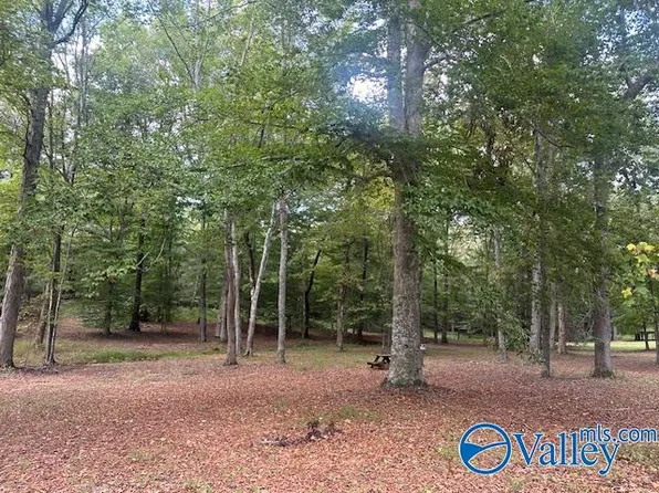 254 Cee Jay Ln, New Market, AL 35761