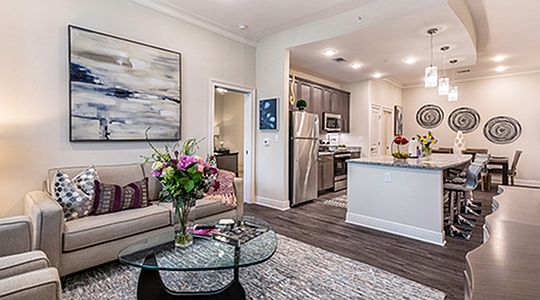 Living room and kitchen