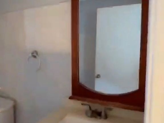 5th image of 249 Inslee Pl APT 2R