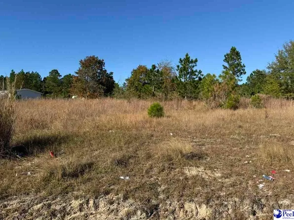 70 Murray Ln, Mc Bee, SC 29101