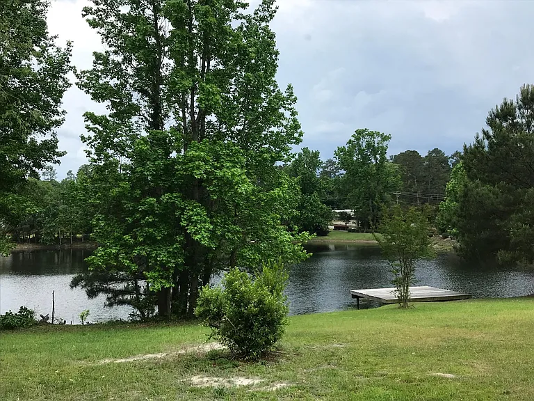 Community pond just beyond the backyard!