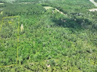 Xx Haskin Rd LOT WP001, Vernon, FL 32462