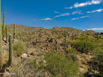 1173 W Tortolita Mountain Cir #182, Tucson, AZ, 85755
