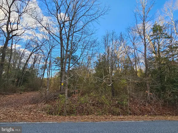 9504 Guy Ward Rd, Parsonsburg, MD 21849