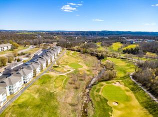 310 S Wildwood Dr #1-BLD, Branson, MO 65616