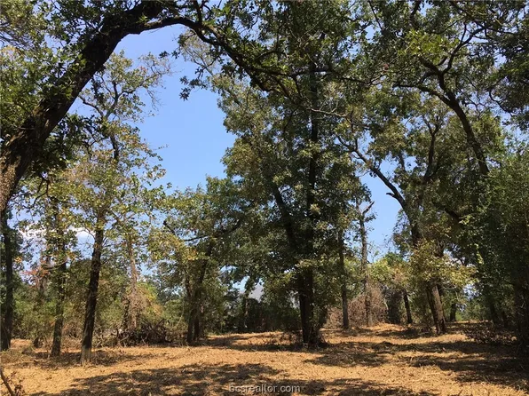 9467 Windsor Ave, Iola, TX 77861