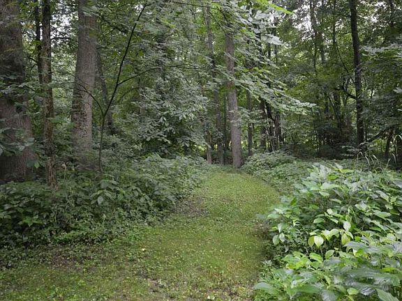 5th image of 28754-2 County Road 26