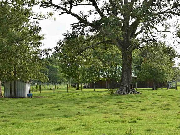 4th image of 1494 County Road 474