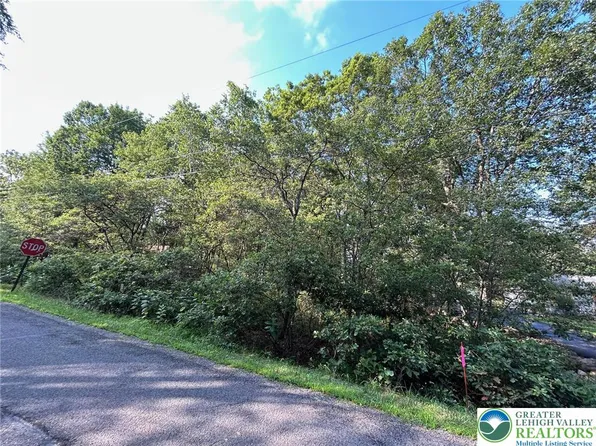 LOT F534 Pinoak Dr, Jim Thorpe, PA 18229