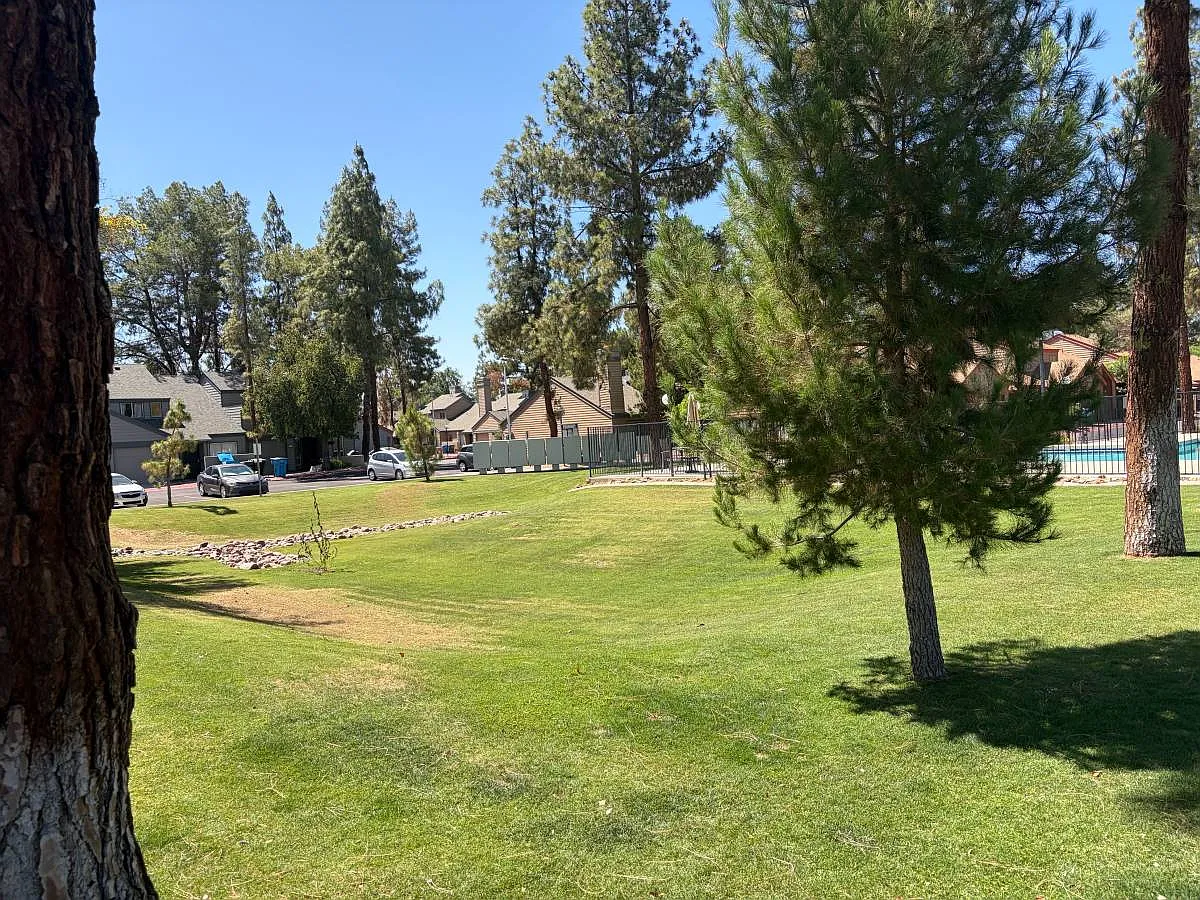 2 bed, 842 sqft, $1,590 — Photo 3