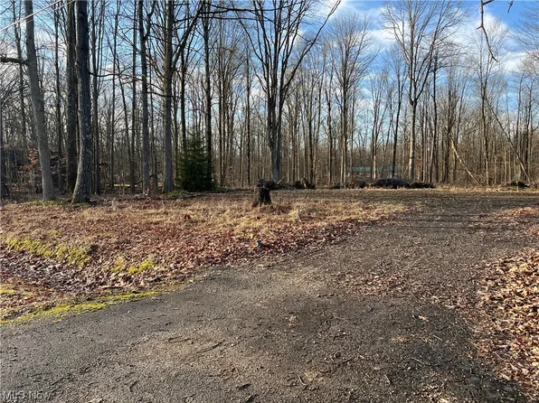 587 Thrush Dr, Roaming Shores, OH 44084