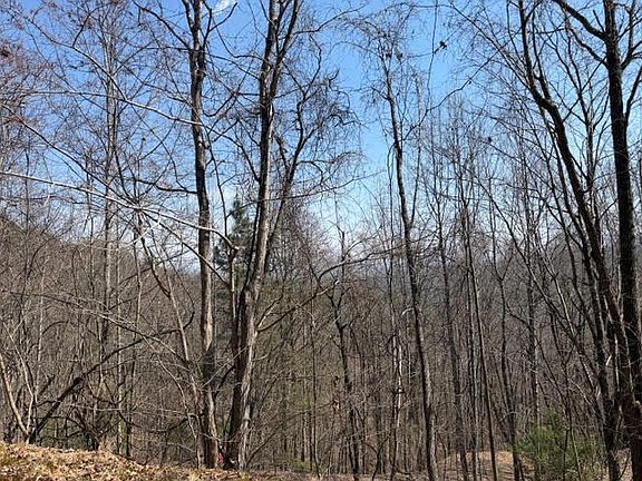3rd image of 16 Laurel Mountain Dr