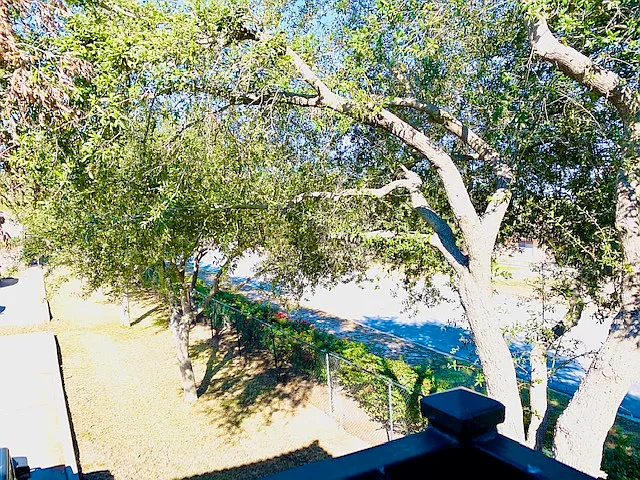 609 Buena Vista Drive - 1 — Photo 4
