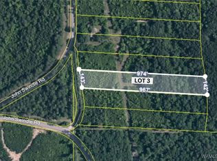 LOT 3&4 John Swindle Rd, Northport, AL 35475