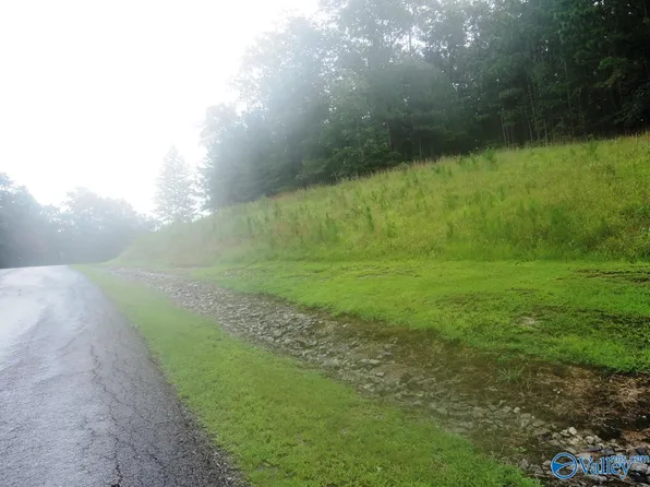 120 Stoney Point Rd S, Double Springs, AL 35553