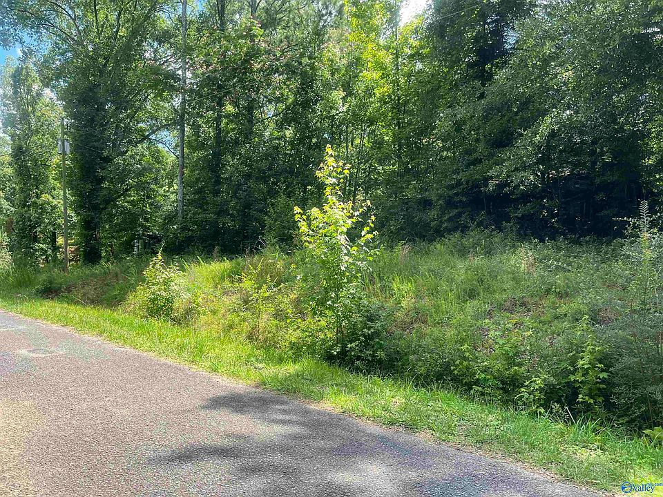 2nd image of 895 County Road 205