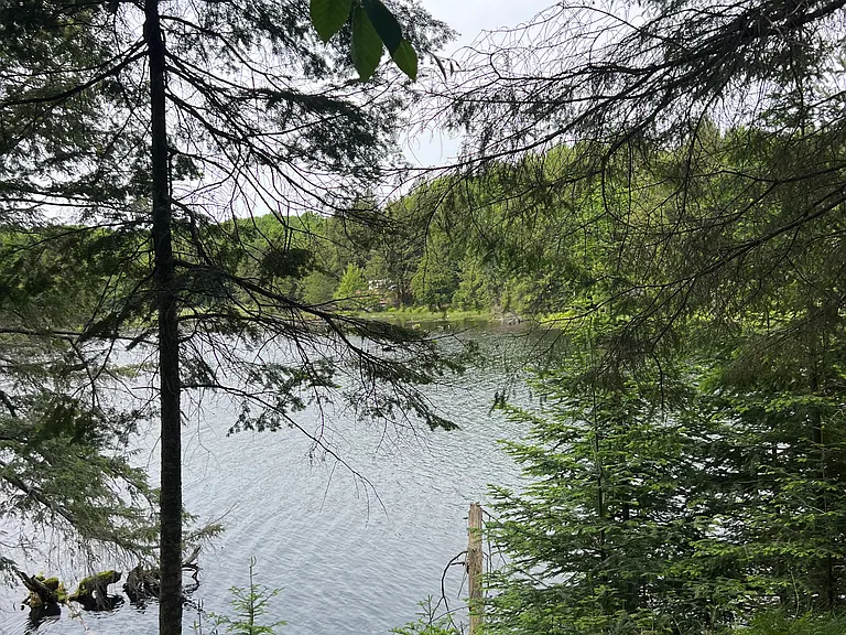 Island view from cabin rental on Kitty Island Watersmeet Michigan Cisco Chain Vacation Rental. Private Island Vacation Rental in Upper Peninsula Gogebic county #Lake Front
