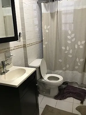 Rented by Simply Brooklyn Realty Inc | media 19