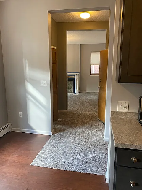 354 Laurel St — Photo 4