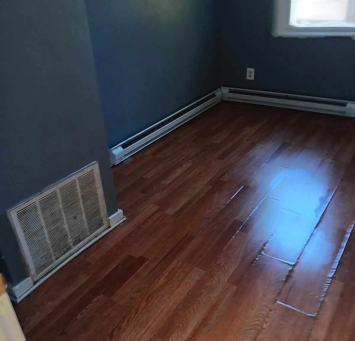 2 bed, $1,650 — Photo 4