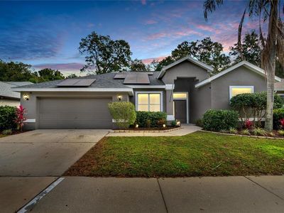 1144 Lumsden Trace Cir, Valrico, FL, 33594