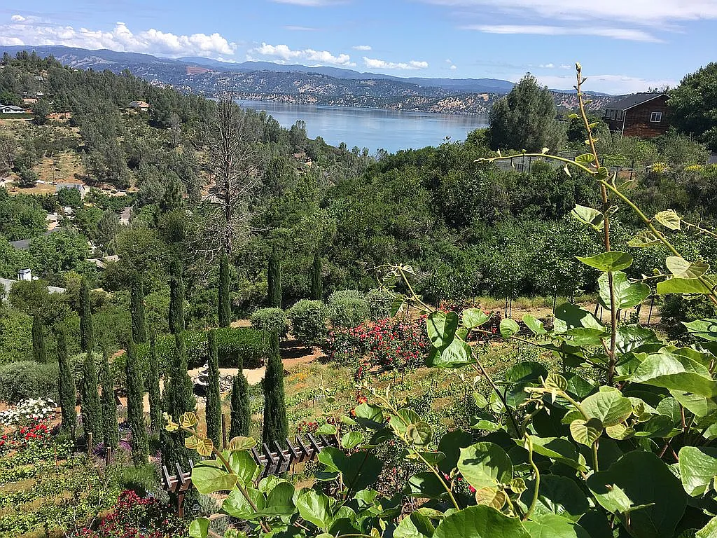 9939 El Capitan Way photo 1