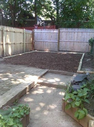 Back Yard View 2