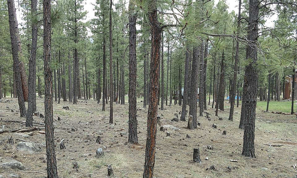 1st image of 11 County Road 1025