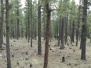 11 County Road 1025, Greer, AZ 85927