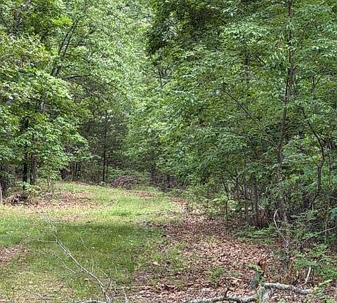 5th image of 000 Oak Thicket Lane