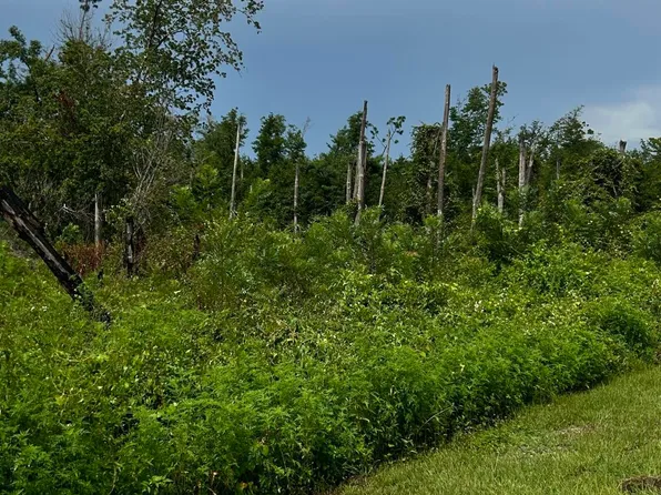 4101 Kirkpatrick Rd, Southport, FL 32409