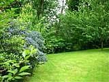 Trees & shrubs line the property for privacy.