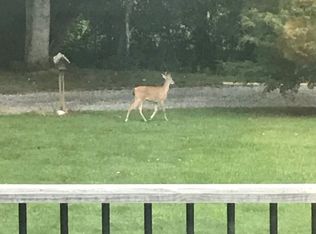 23 Jonquil Ln, Candler, NC 28715