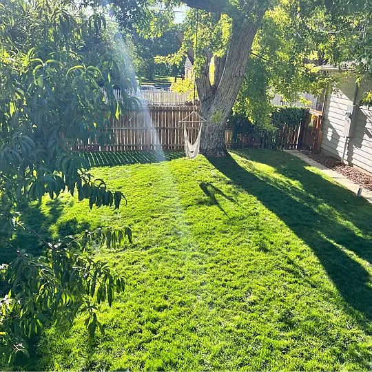 3035 Albion St — Photo 15