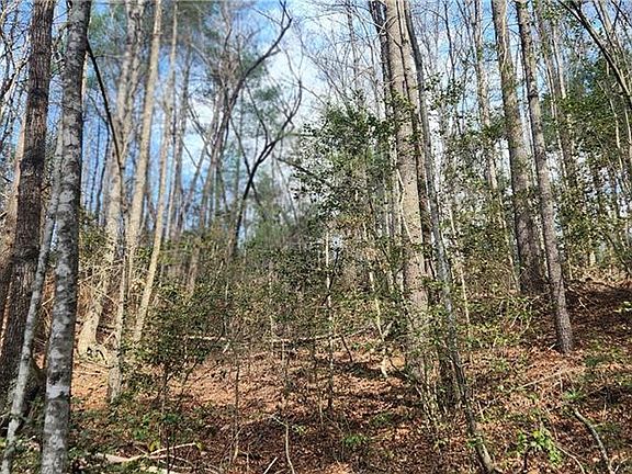 3rd image of Cane Creek Church Rd