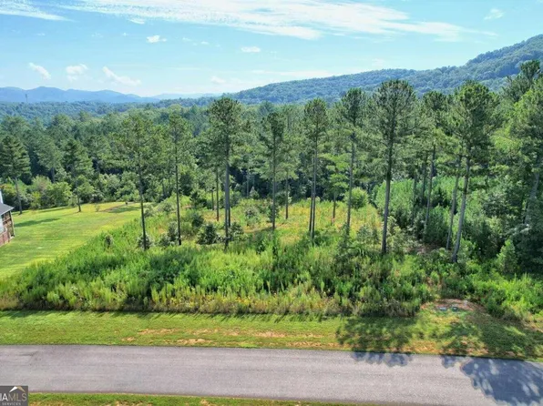LOT 319 The Lndg #1300, Blairsville, GA 30512