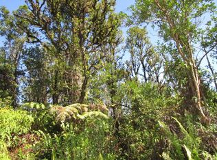Hibiscus St LOT 7376, Mountain View, HI 96771