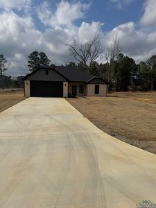 105 Heartland Way, Diana, TX, 75640