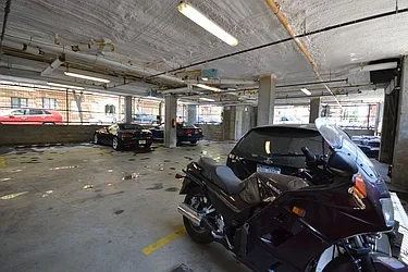 Rented by Bold New York