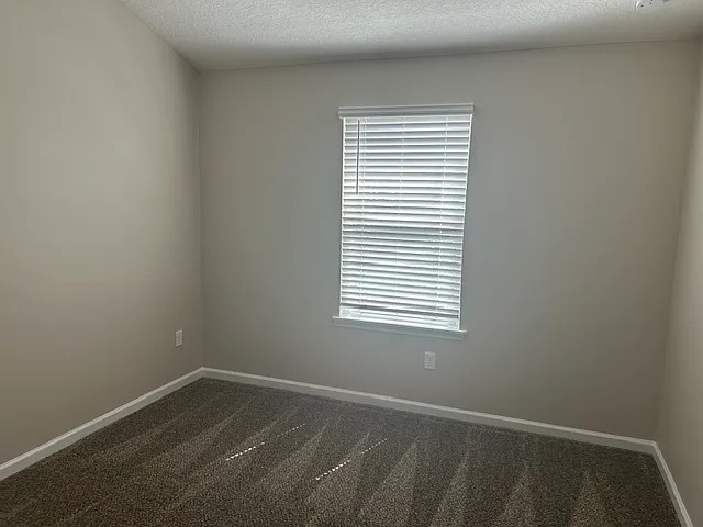 4028 Pine Hill Point #1 — Photo 9