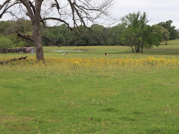 Rs County Rd #2365, Alba, TX 75410