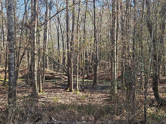 4th image of 0 Red Rd Lot 10