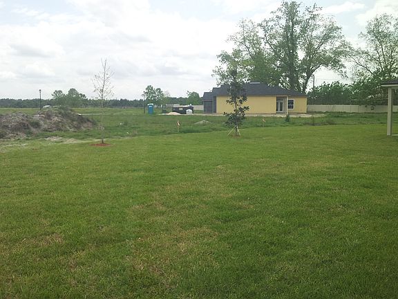 9298 Spider Lily Lane