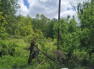 8720 Blackwell Chapel Rd, Meadowview, VA 24361