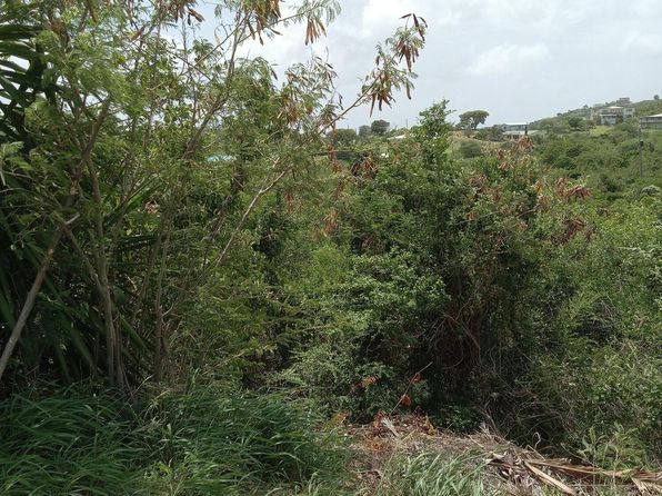 19 I Whim Whim (Two Will) WE, St. Croix, VI 00840