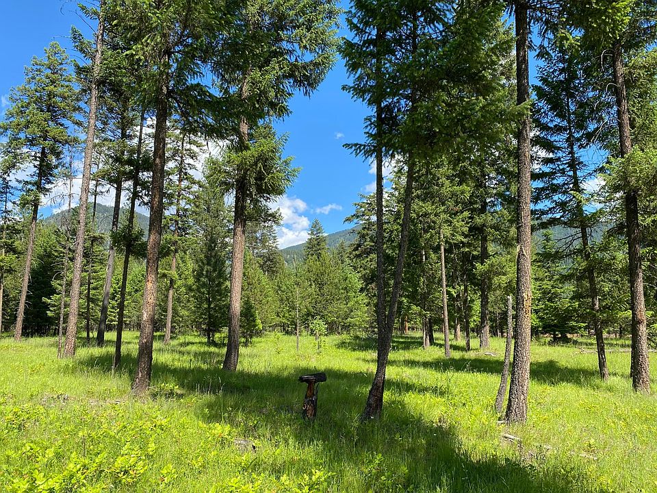 1st image of Nhn Graves Creek Loop