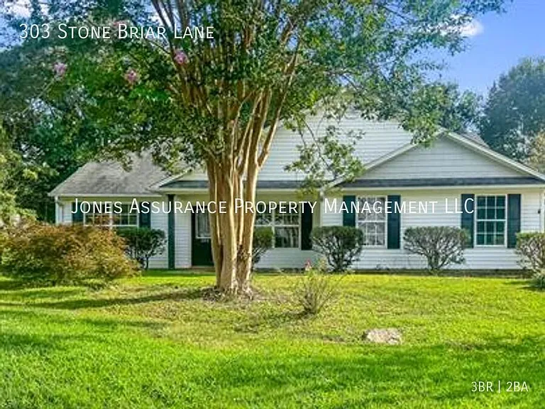 303 Stone Briar Ln — Photo 1