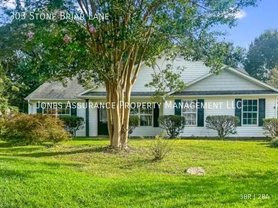303 Stone Briar Ln