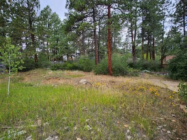 59 Holly Hock Trail, Durango, CO 81303