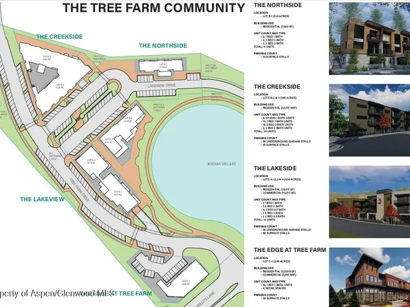 201 Tree Farm Dr #All, Basalt, CO 81621